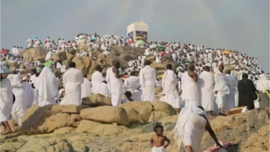 حجاج بيت الله الحرام يواصلون التوافد إلى “عرفات” لأداء ركن الحج الأعظم